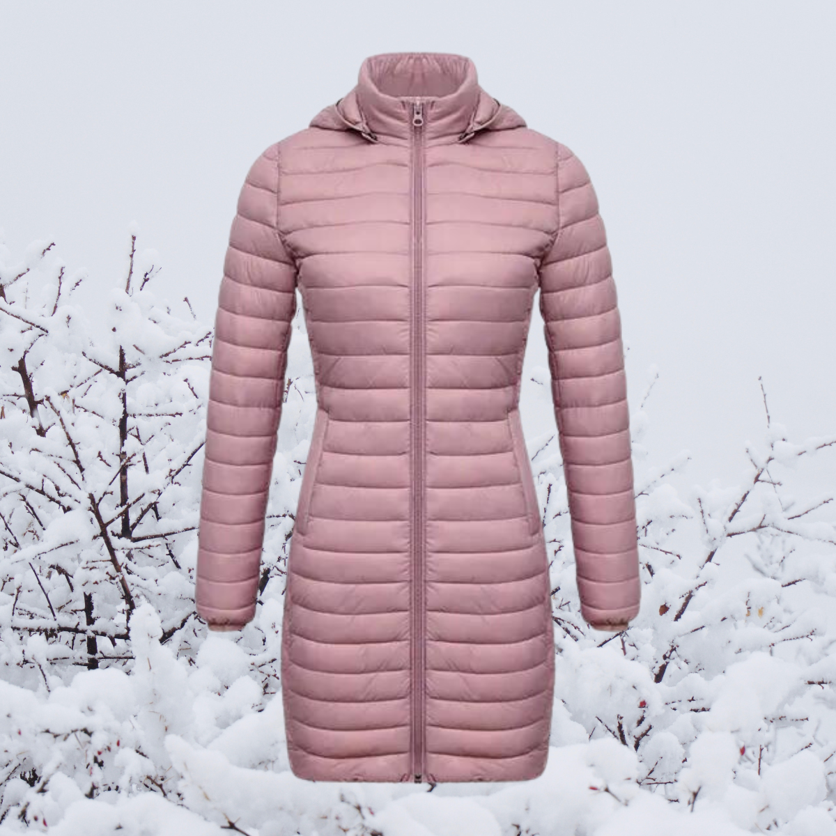 Dames Lange Warme Gewatteerde Winterjas Met Capuchon